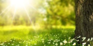 Meteo: vreme caldă în prima parte a lunii iunie