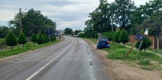 Tineri loviți de un indicator doborât de o mașină