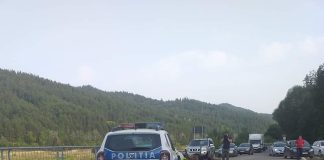 Mașină de poliție, implicată într-un accident cu o căruță. Calul a murit