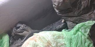 Controale ANSVSA pe litoral, săptămâna trecută: amenzi drastice și peste 800 kg de produse confiscate, majoritatea carne și pește