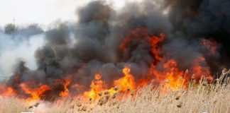 Avertisment pentru fermieri: interzis la incendierea miriștilor, vegetației uscate și resturilor vegetale pe terenurile arabile