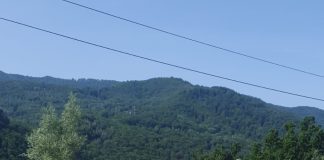 FOTO Patru persoane rănite în accidentul de la Tulnici. O copilă de 12 ani, preluată de elicopterul SMURD