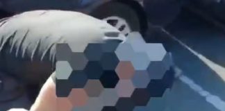 VIDEO Polițiștii vrânceni au participat la un flagrant, în Bacău. Au fost prinși doi hoți de portofele