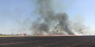 Șapte incendii de vegetație uscată, luni, în Vrancea