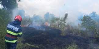 FOTO Incendiu de vegetație uscată la Suraia
