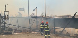 FOTO-VIDEO Pompierii români acționează în ”infernul” din Rodos. Ei au salvat și animale din calea focului
