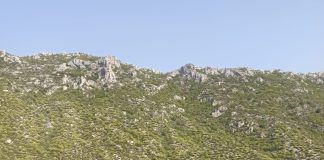 FOTO 12 pompieri militari vrânceni în lupta cu incendiile devastatoare din Grecia