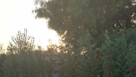 VIDEO-FOTO Apa a inundat o parte din Parcul Bălcescu