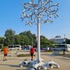 arbore solar