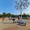 arbore solar 3