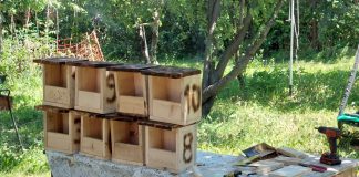 Elevi și voluntari, implicați într-un proiect de protecție a mediului