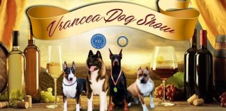 Vrancea Dog Show s-a mutat la toamnă