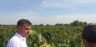 Deputatul Ion Ștefan: ”Turismul rural din județul nostru are un potențial extraordinar, însă este nevoie de investiții”