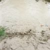 ploaie inundatii