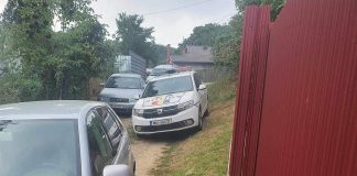 Vacă atacată ieri noapte, posibil de animal sălbatic, pe raza comunei Urechești