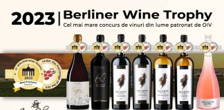 Noi premii internaționale pentru vinurile produse de Crama Gărboiu