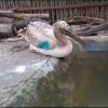 IMG-20230930-WA0002