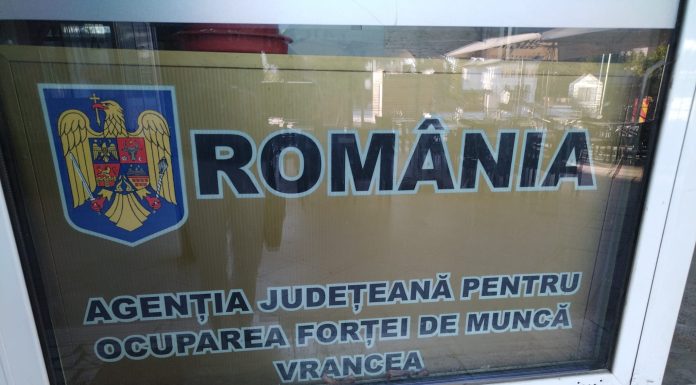 Aproape 150 de persoane selectate pentru încadrare la Bursa locurilor de muncă pentru absolvenți / 21 sunt absolvenți 2026