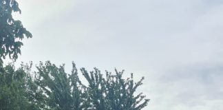 Fetiță de 3 ani, lovită de o mașină pe o stradă din Focșani