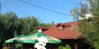 S-a redeschis Bistro 73