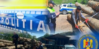 Amendă și confiscări de lemne în urma unui control la o societate cu profil silvic din Dumitrești