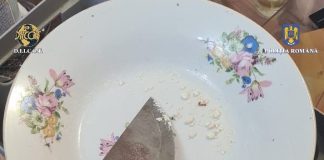Perchezițiile de ieri, de la traficanți de droguri din Vrancea și alte județe: rețineri de persoane, confiscări de droguri, telefoane, sume de bani