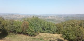 Meteo: temperaturi mai ridicate decât normalul perioadei până aproape de Crăciun