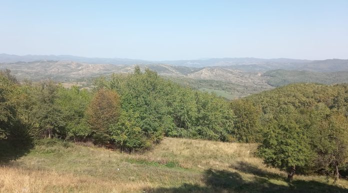 Meteo: temperaturi mai ridicate decât normalul perioadei până aproape de Crăciun