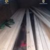imigrant trafic
