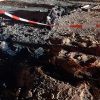 incendiu calimanesti