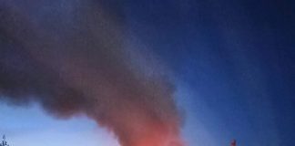 VIDEO-FOTO Incendiu în zona Vrancart Adjud
