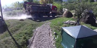 FOTO Camioane pline cu lemne pe un drum comunal cu restricție de tonaj