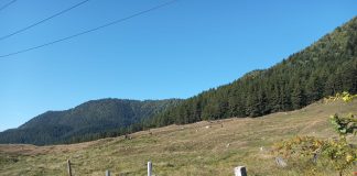 Meteo: vreme caldă, în general, în prima jumătate a lunii august