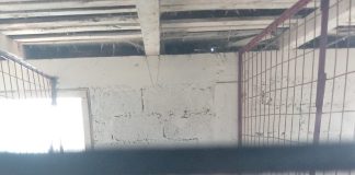 Padocul de câini de la Suraia rămâne închis / Proprietarul a vrut să-l redeschidă, dar nu a respectat condițiile