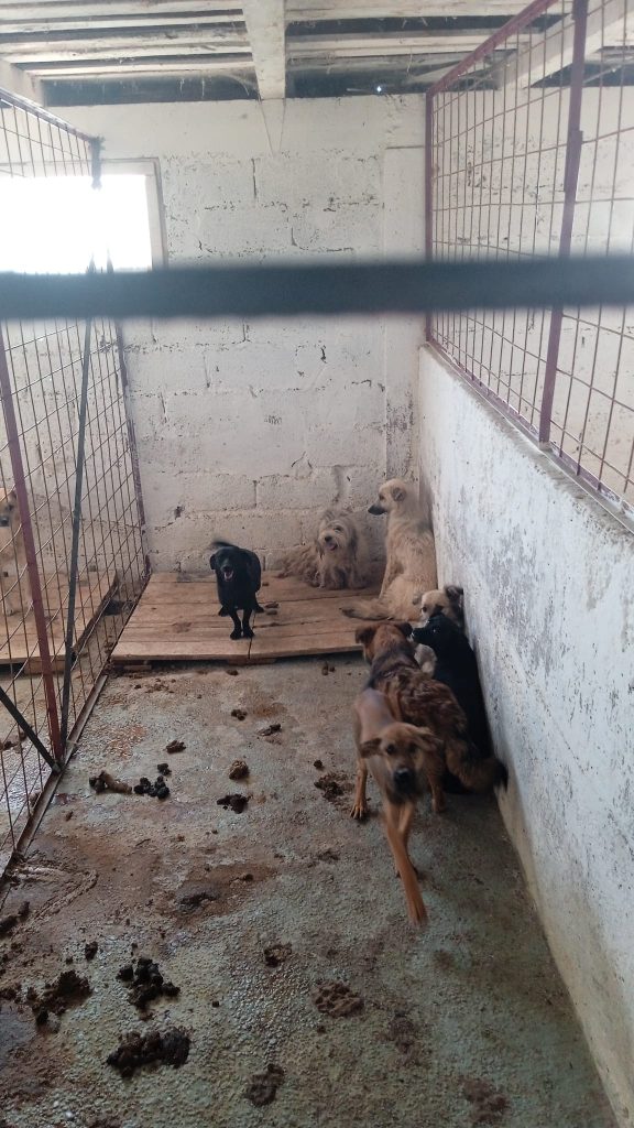 MApN confirmă: Drona a survolat Botoșaniul și s-a prăbușit la Suceava