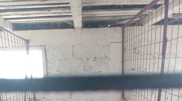 Padocul de câini de la Suraia rămâne închis / Proprietarul a vrut să-l redeschidă, dar nu a respectat condițiile