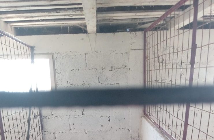 Padocul de câini de la Suraia rămâne închis / Proprietarul a vrut să-l redeschidă, dar nu a respectat condițiile