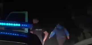 VIDEO Urmărire ca în filme, cu focuri de armă, pe DN 2M. Șoferul băut a furat o mașină și nu a oprit la semnalul polițistului