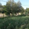 valea ramnicului chiojdeni