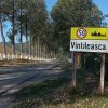 vintileasca 2