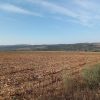agricultura corbita