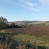 agricultura tanasoaia boghesti