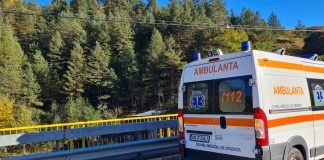 Bărbat atacat de un urs, la Butucoasa