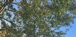 Copil de 11 ani, rănit într-un accident rutier