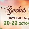 carton bachus