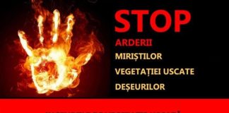 Pompierii vrânceni, îngrijorați de numărul mare de incendii de vegetație din ultimele zile / Nu mai dați foc la resturile vegetale!