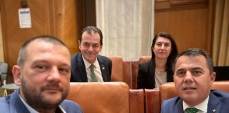 Deputatul Ion Ștefan: ”Proprietatea privată, apărată la CCR de Forța Dreptei, după ce a fost sacrificată de parlamentarii PNL, complici la o inițiativă a PSD”
