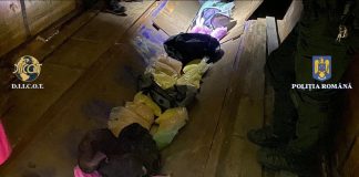 FOTO Captură record în România: peste 230.000 de comprimate de ecstasy / Doi turci au fost reținuți