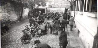 Problemele din programa pentru Istoria evreilor, Holocaustul, ignorate de Ministerul Educației și de experți holocaust