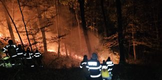 FOTO Tot mai multe incendii de vegetație în zona Dumitrești